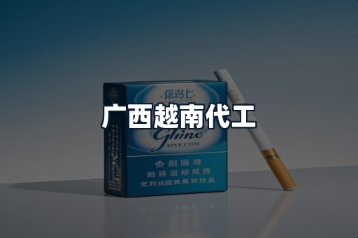 广西越南代工
